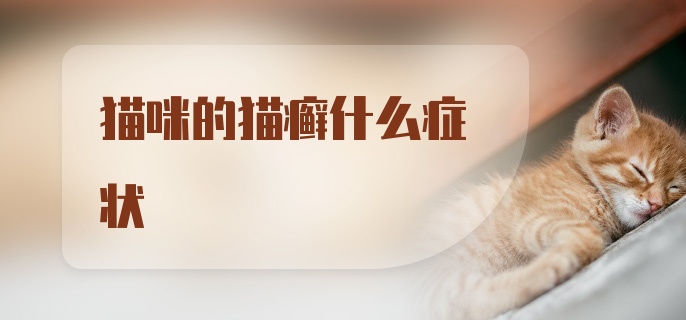 猫咪的猫癣什么症状