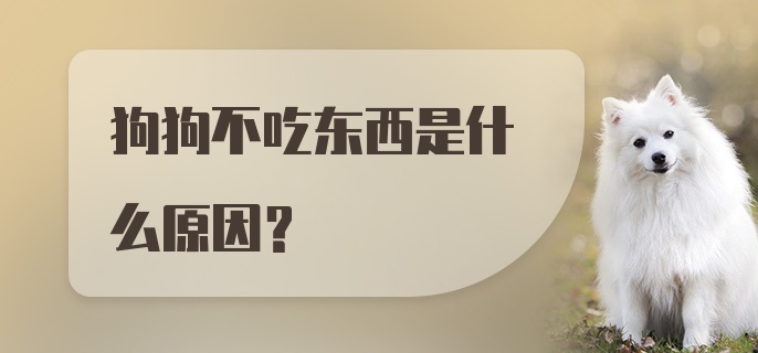 狗狗不吃东西是什么原因?