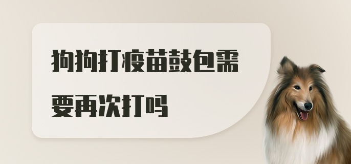 狗狗打疫苗鼓包需要再次打吗