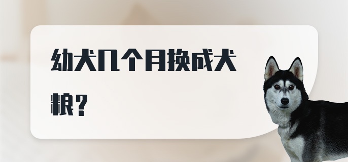 幼犬几个月换成犬粮？