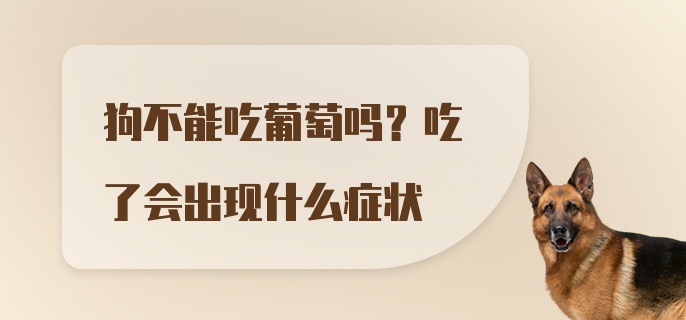 狗不能吃葡萄吗？吃了会出现什么症状