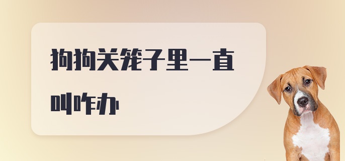 狗狗关笼子里一直叫咋办