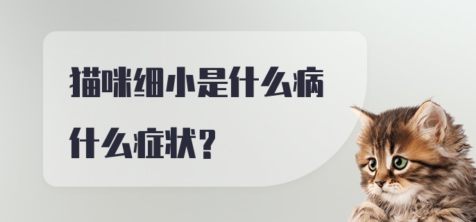 猫咪细小是什么病什么症状？