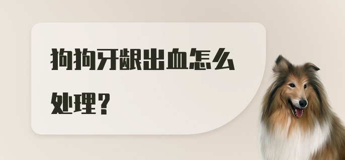 狗狗牙龈出血怎么处理？