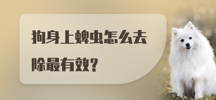 狗身上蜱虫怎么去除最有效？