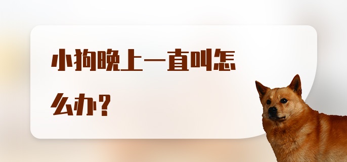 小狗晚上一直叫怎么办?