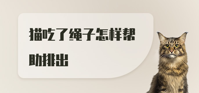 猫吃了绳子怎样帮助排出