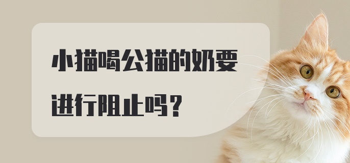 小猫喝公猫的奶要进行阻止吗？