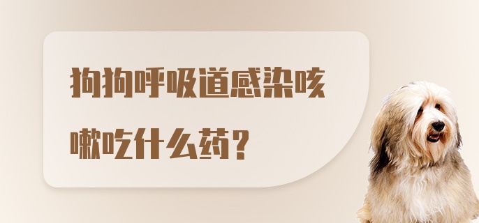 狗狗呼吸道感染咳嗽吃什么药？