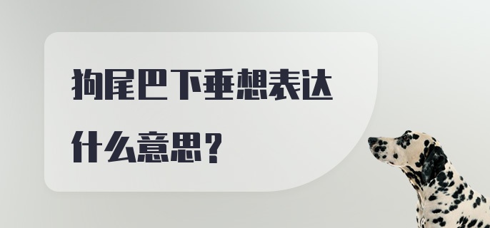 狗尾巴下垂想表达什么意思？