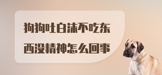 狗狗吐白沫不吃东西没精神怎么回事