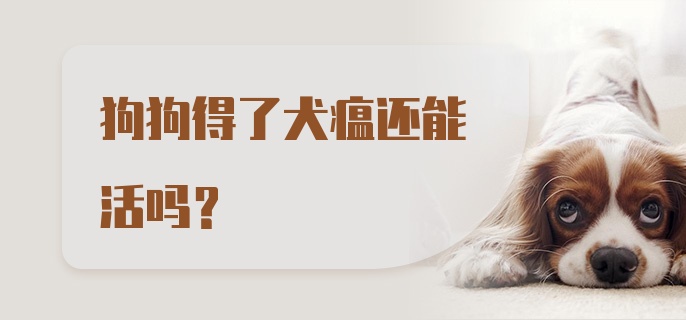 狗狗得了犬瘟还能活吗？