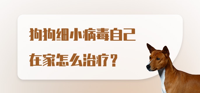 狗狗细小病毒自己在家怎么治疗？