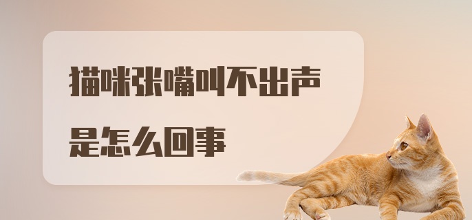 猫咪张嘴叫不出声是怎么回事