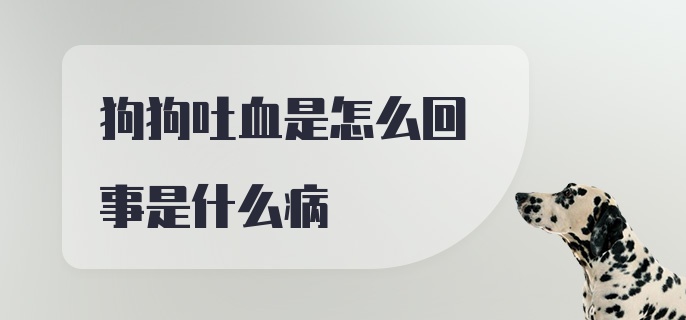 狗狗吐血是怎么回事是什么病