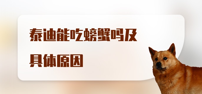 泰迪能吃螃蟹吗及具体原因