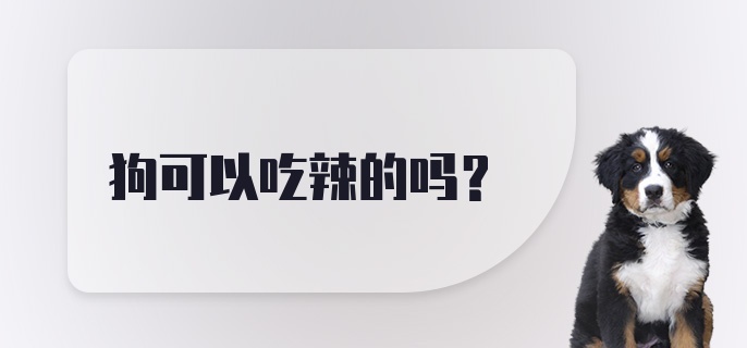 狗可以吃辣的吗？