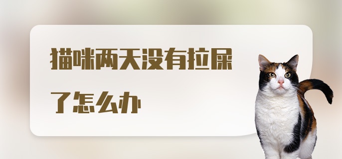 猫咪两天没有拉屎了怎么办