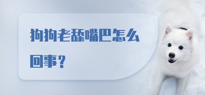 狗狗老舔嘴巴怎么回事？