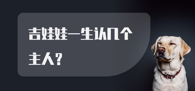 吉娃娃一生认几个主人？