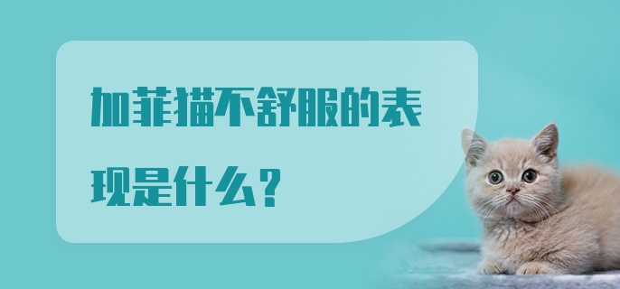 加菲猫不舒服的表现是什么？