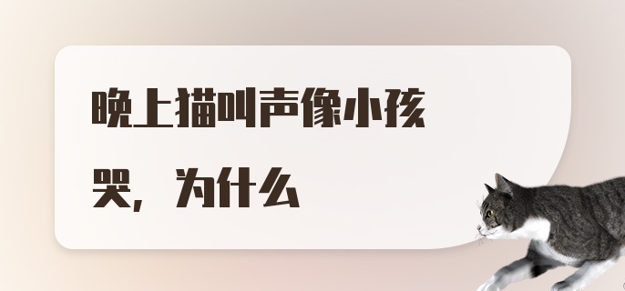 晚上猫叫声像小孩哭，为什么