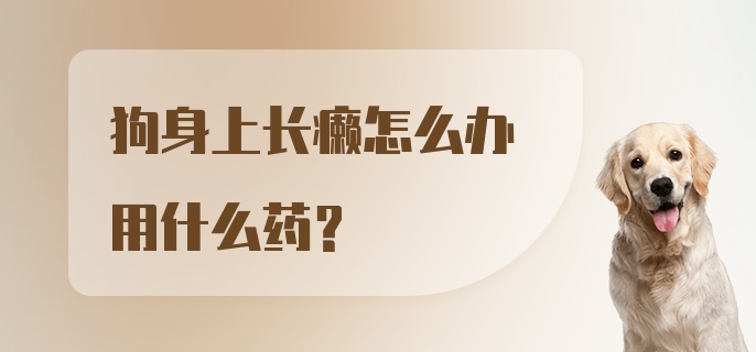 狗身上长癞怎么办用什么药？