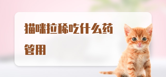 猫咪拉稀吃什么药管用