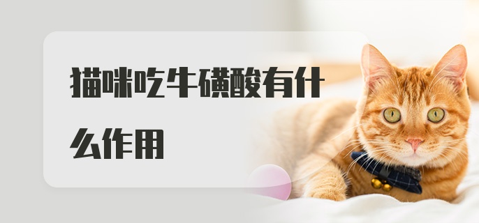 猫咪吃牛磺酸有什么作用