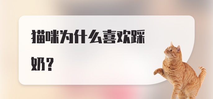 猫咪为什么喜欢踩奶？