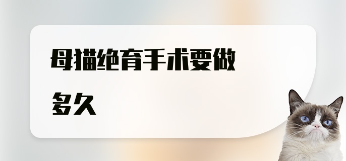 母猫绝育手术要做多久