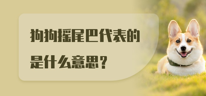 狗狗摇尾巴代表的是什么意思？