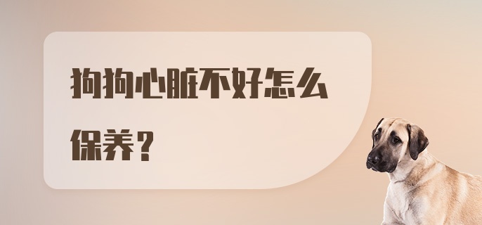 狗狗心脏不好怎么保养？