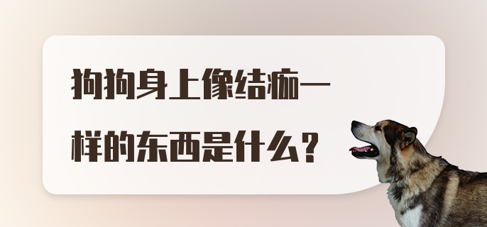 狗狗身上像结痂一样的东西是什么？