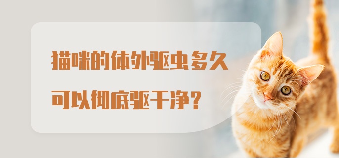 猫咪的体外驱虫多久可以彻底驱干净？