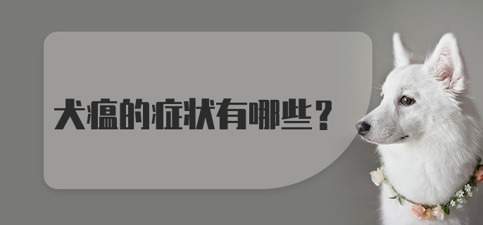 犬瘟的症状有哪些？