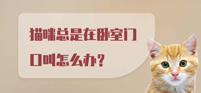 猫咪总是在卧室门口叫怎么办？