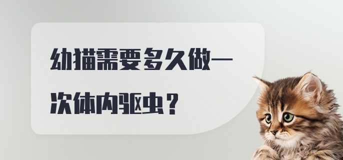 幼猫需要多久做一次体内驱虫？