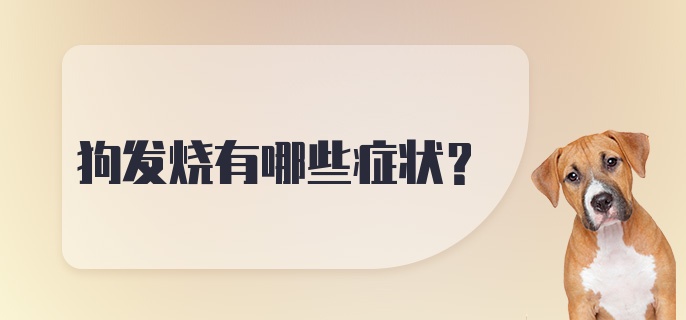 狗发烧有哪些症状？