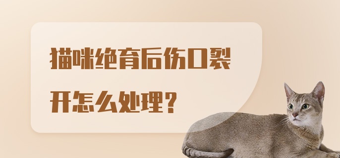 猫咪绝育后伤口裂开怎么处理？