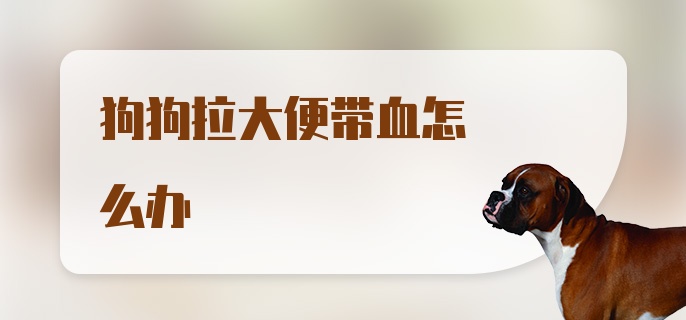 狗狗拉大便带血怎么办