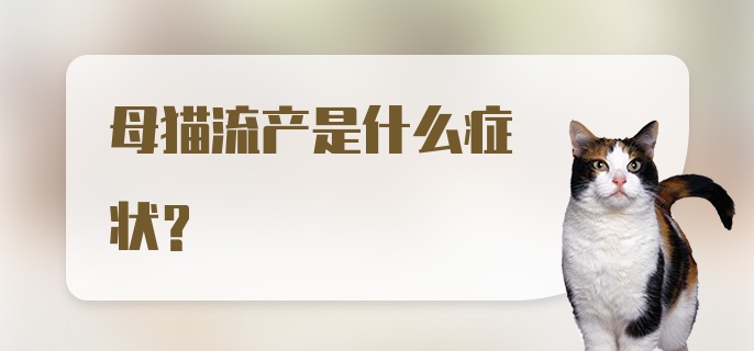 母猫流产是什么症状？