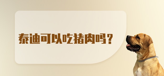 泰迪可以吃猪肉吗？