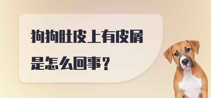 狗狗肚皮上有皮屑是怎么回事？