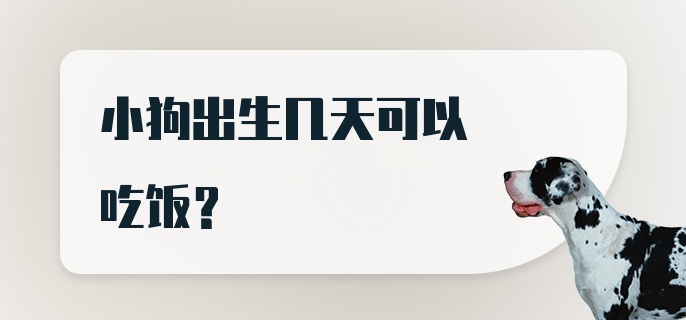 小狗出生几天可以吃饭？