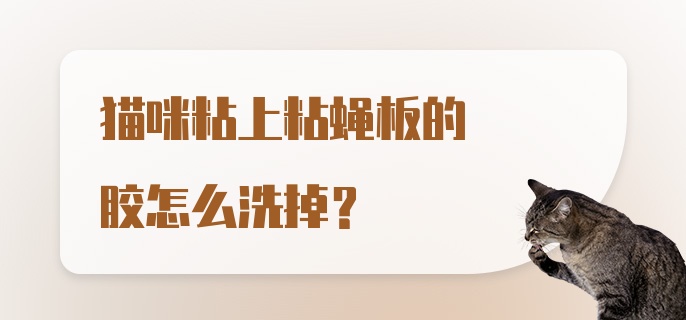 猫咪粘上粘蝇板的胶怎么洗掉？