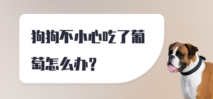 狗狗不小心吃了葡萄怎么办？