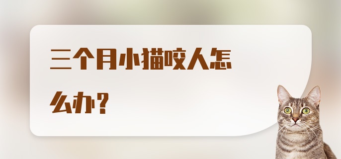 三个月小猫咬人怎么办？