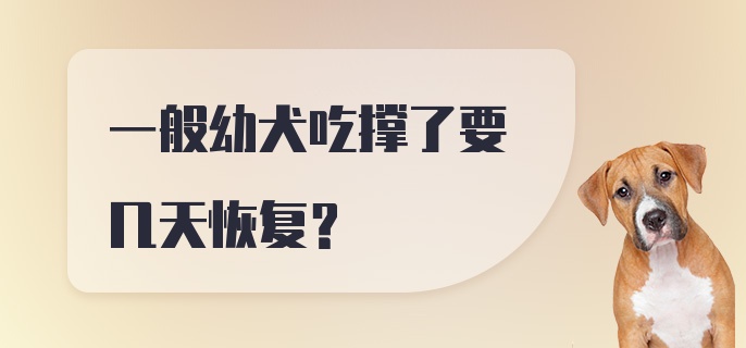 一般幼犬吃撑了要几天恢复？