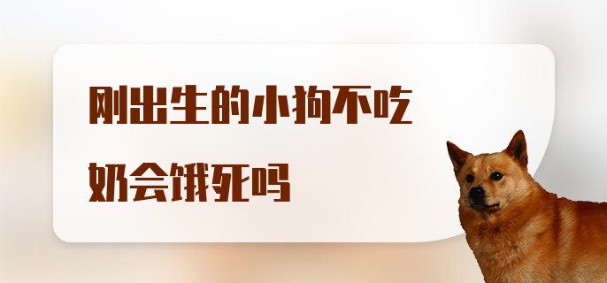 刚出生的小狗不吃奶会饿死吗